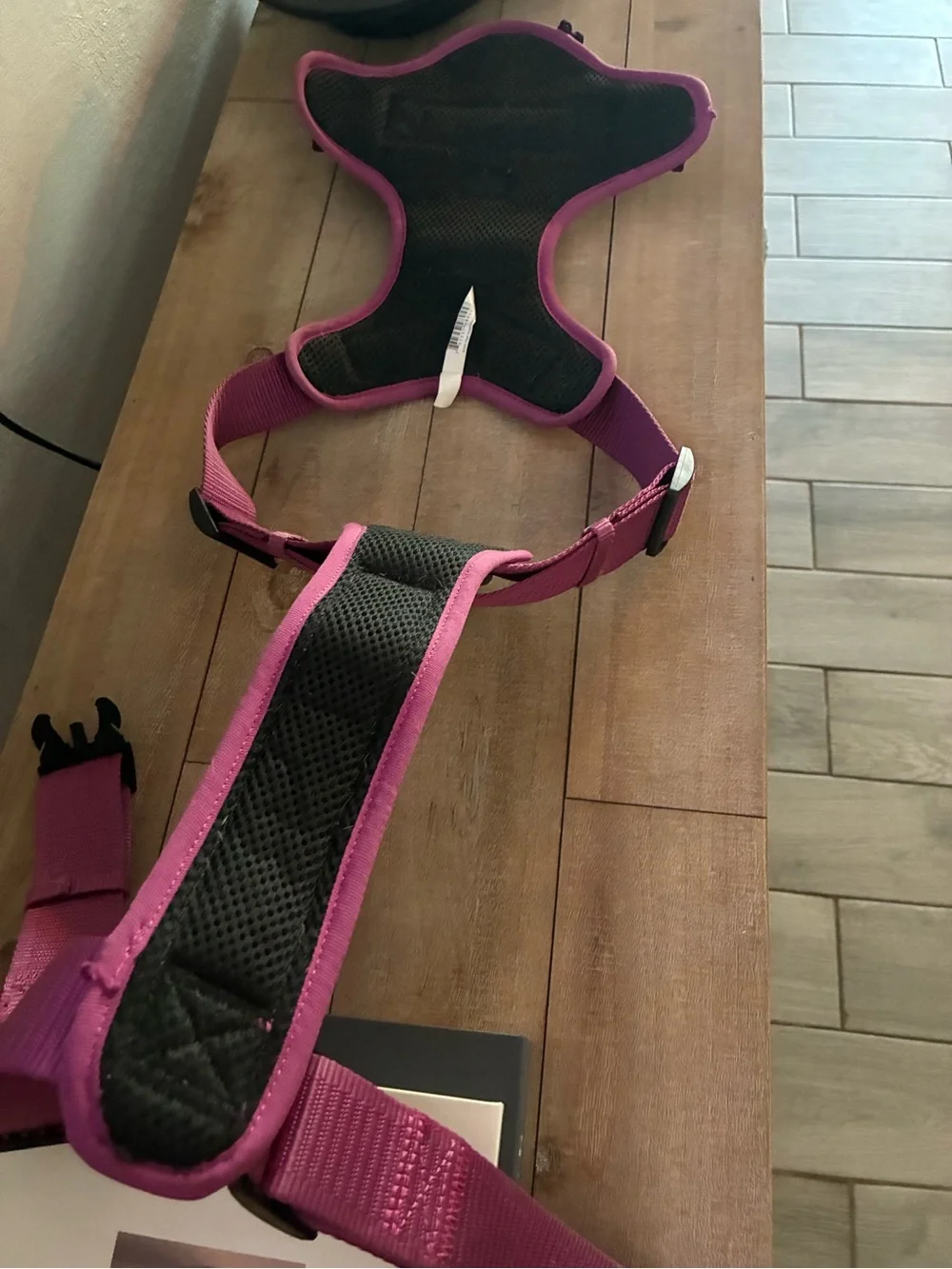 Kong Dog Harness
